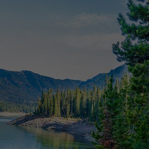 Montana scene of trees on the shoreline of a lake